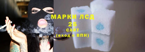 шишки Заволжье