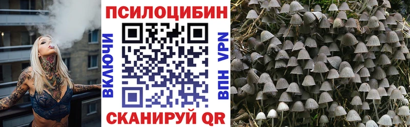 Галлюциногенные грибы Psilocybine cubensis Удачный